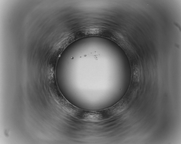 X0000102030555200807251353