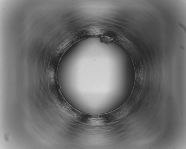 X0000102030556200807251353