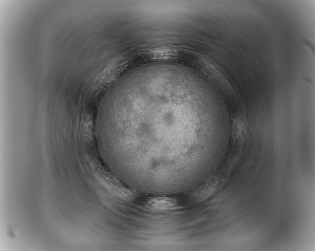 X0000102030557200807251353