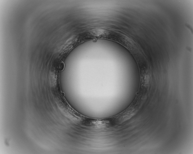 X0000102030558200807251353