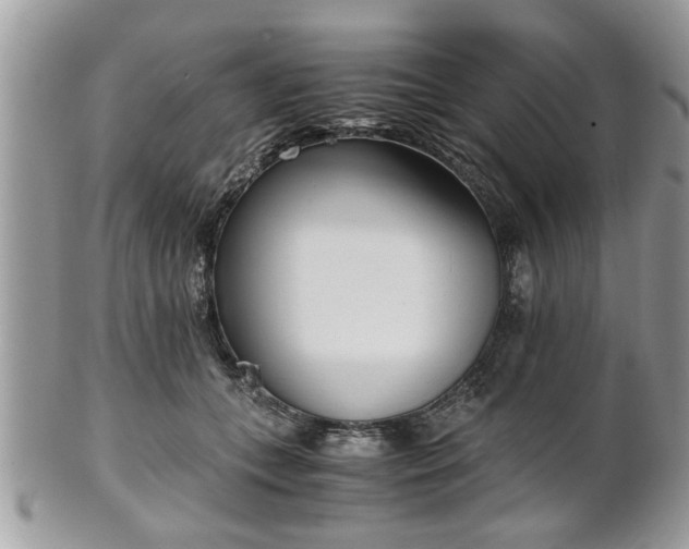 X0000102030559200807251353