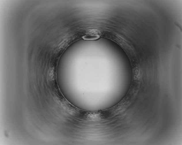 X0000102030560200807251354