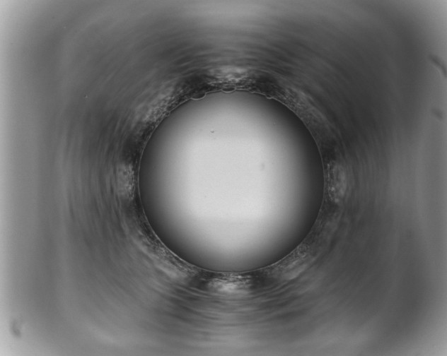 X0000102030563200807251354