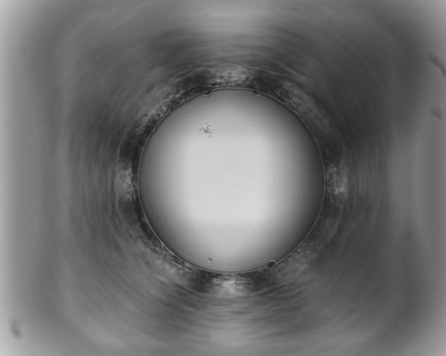 X0000102030564200807251354