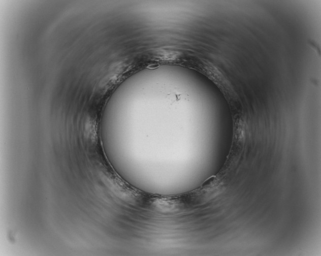 X0000102030568200807251354