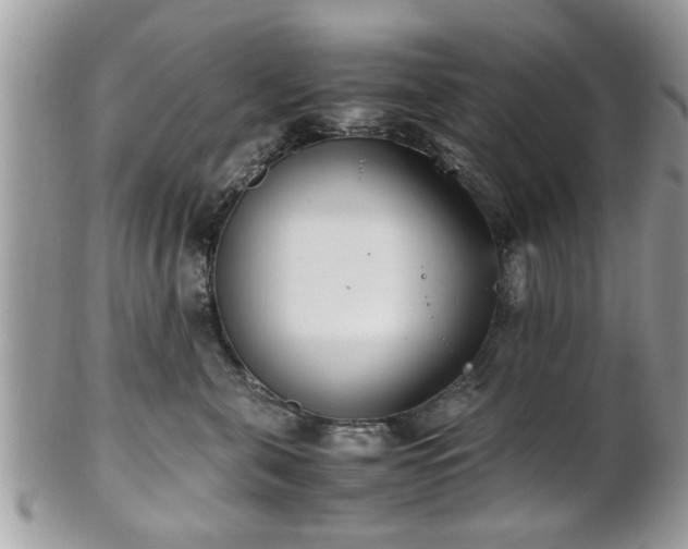 X0000102030571200807251354