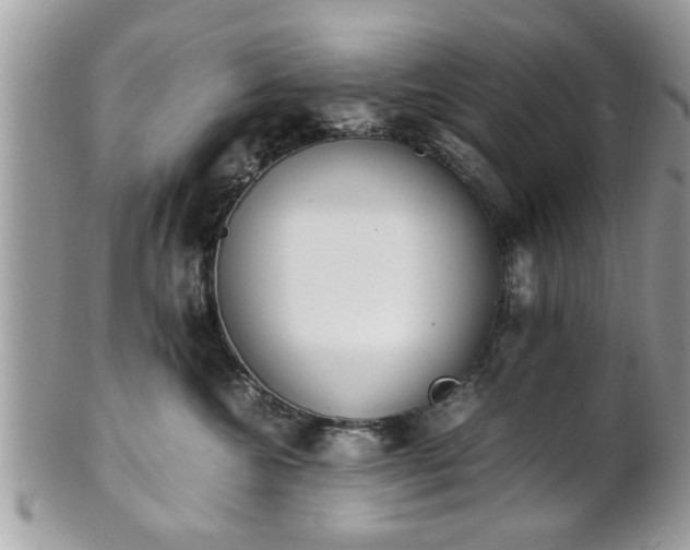 X0000102030572200807251354