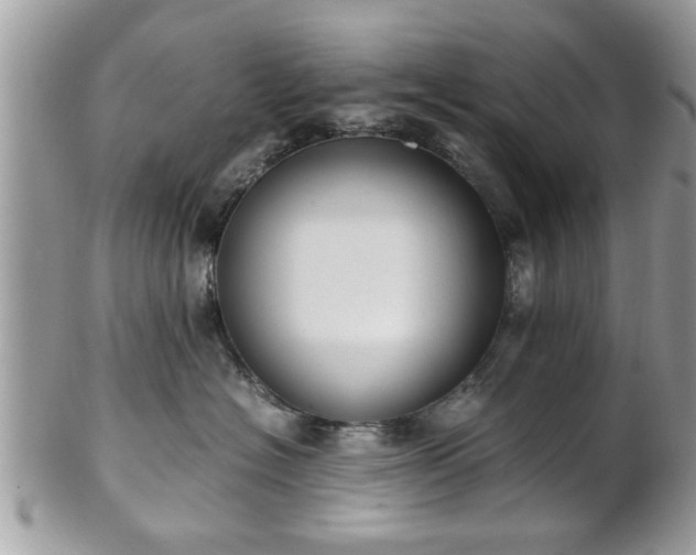 X0000102030574200807251354