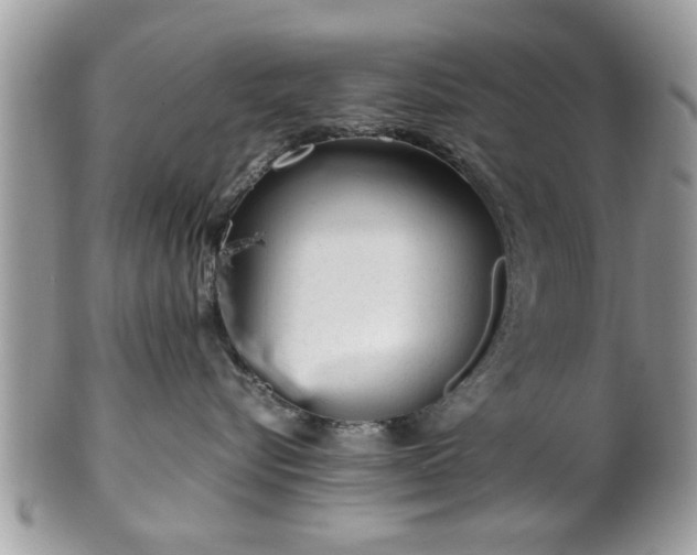 X0000102030576200807251354