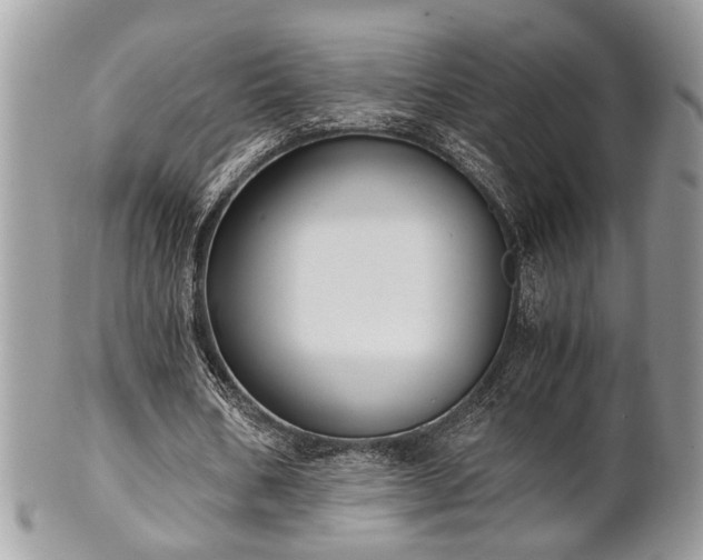 X0000102030578200807251353