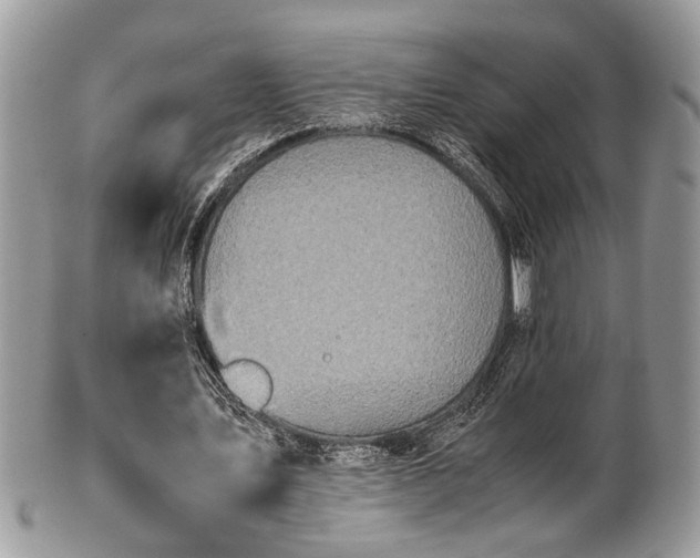 X0000102030579200807251353