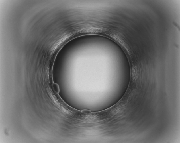 X0000102030581200807251353