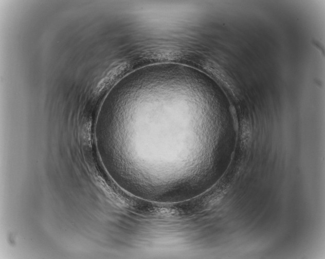 X0000102030585200807251353