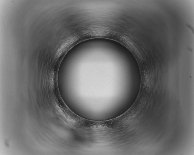 X0000102030586200807251353