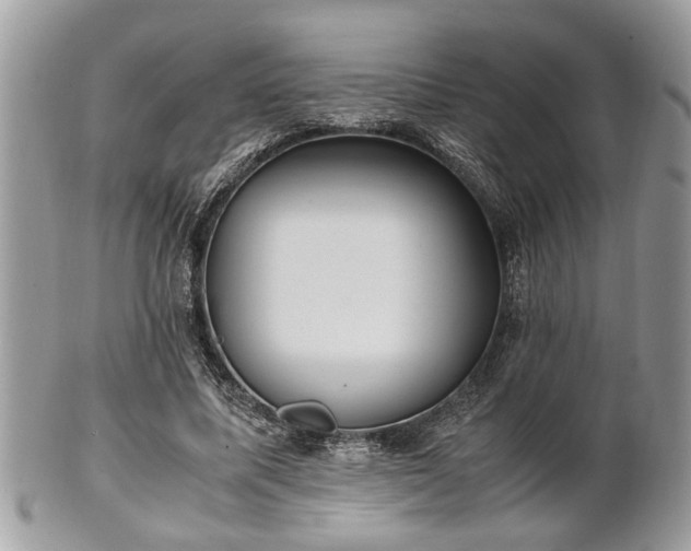 X0000102030587200807251353