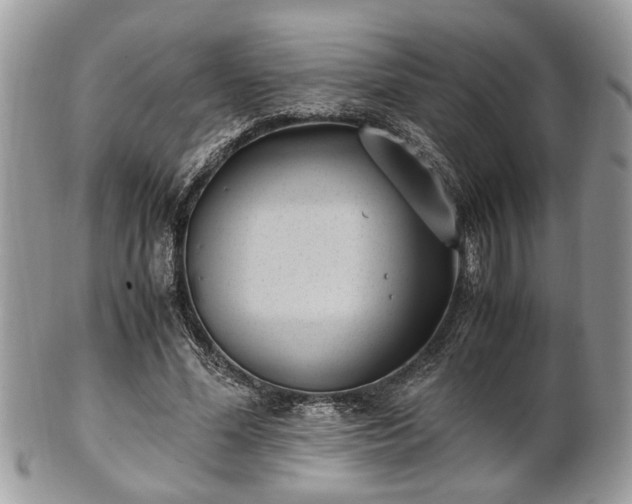 X0000102030588200807251353