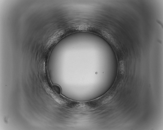 X0000102030589200807251353