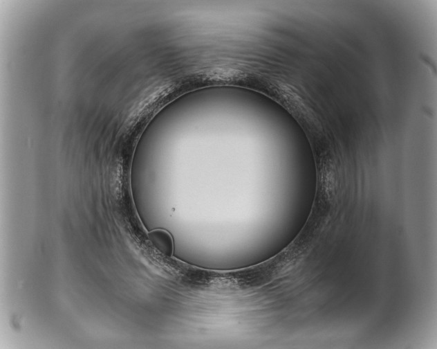 X0000102030591200807251353