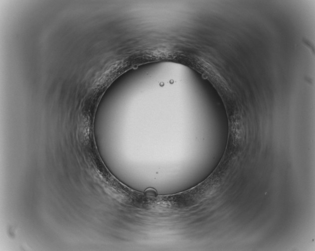 X0000102030593200807251353