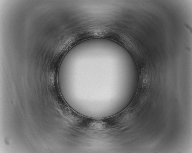 X0000102030595200807251353