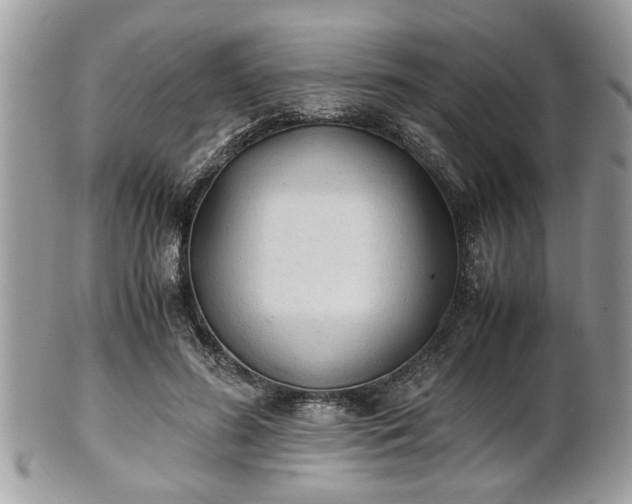 X0000102030596200807251353