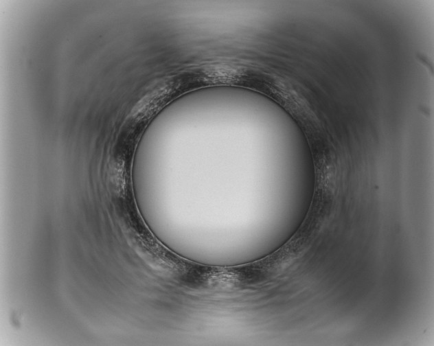 X0000102030599200807251353