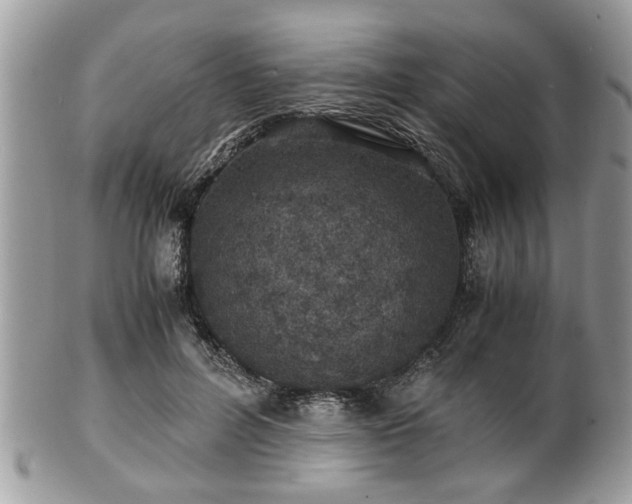 X0000102030600200807251353