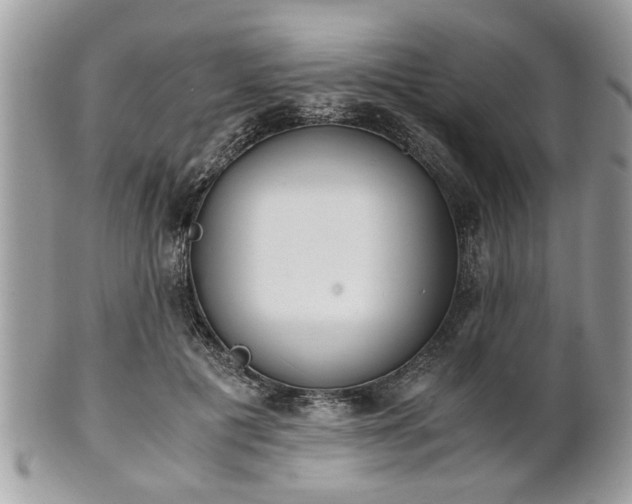 X0000102030601200807251353