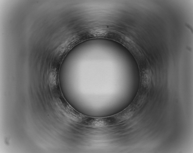 X0000102030604200807251353