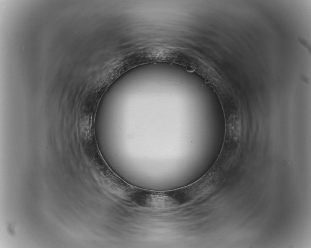 X0000102030605200807251353