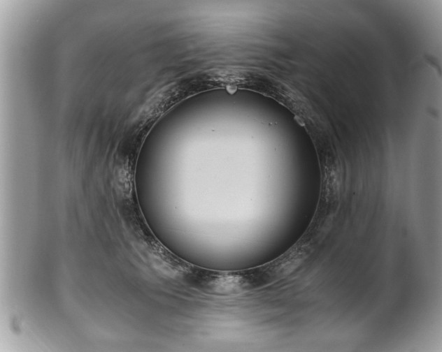 X0000102030609200807251352