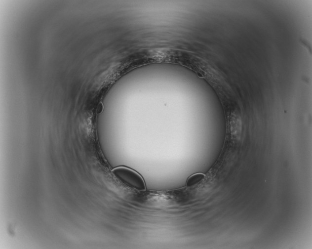 X0000102030611200807251352