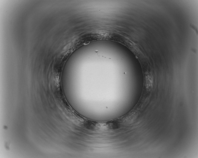 X0000102030613200807251352