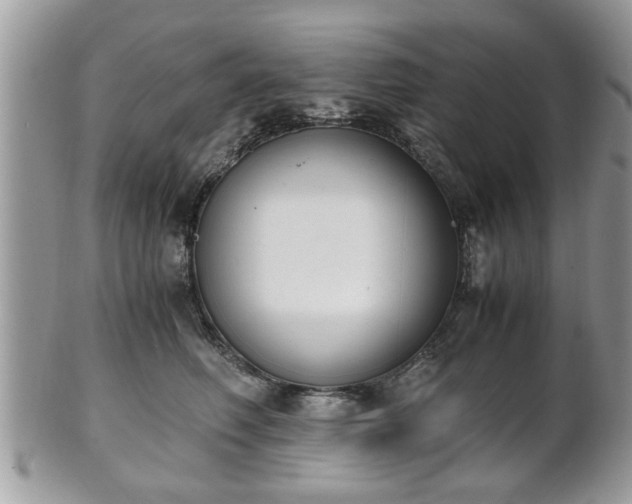 X0000102030614200807251352