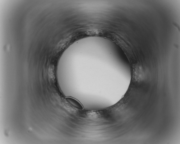 X0000102030616200807251352