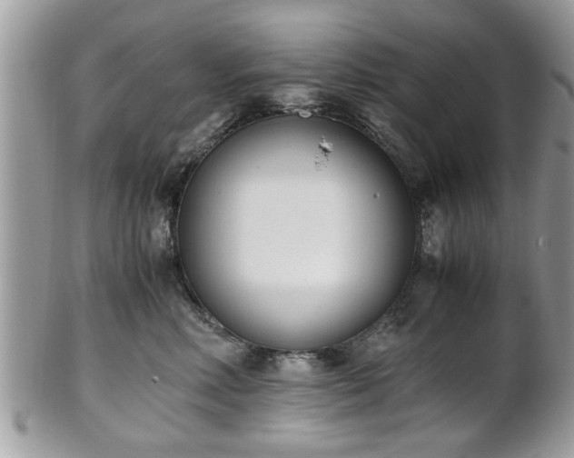 X0000102030618200807251352