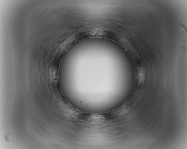 X0000102030619200807251352