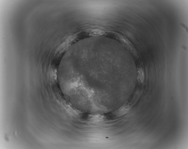 X0000102030621200807251352