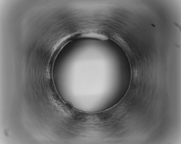 X0000102030628200807251352