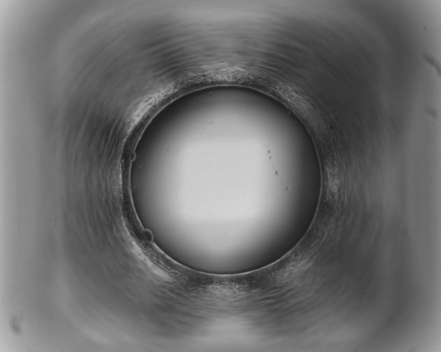 X0000102030630200807251352