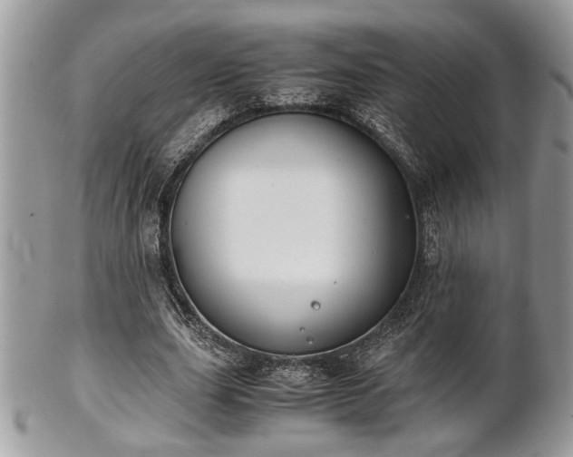 X0000102030631200807251352