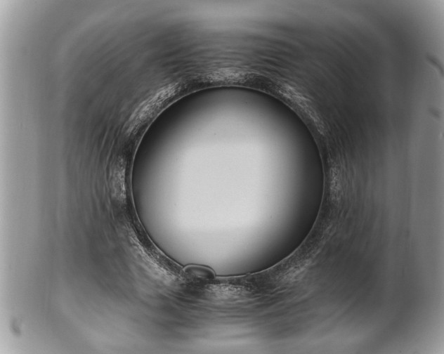 X0000102030633200807251352