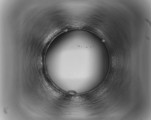 X0000102030634200807251352