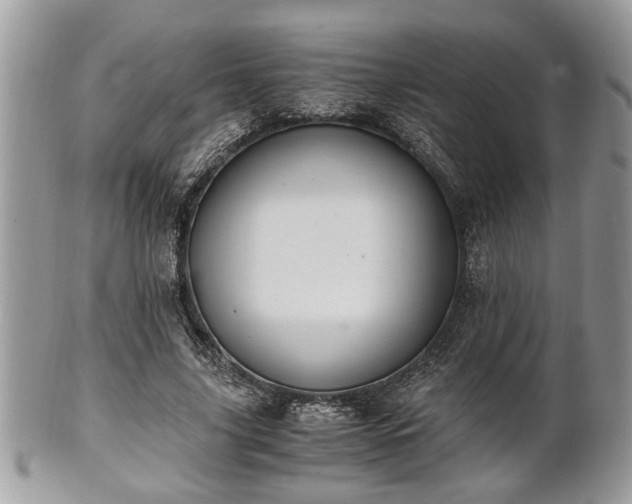 X0000102030635200807251352