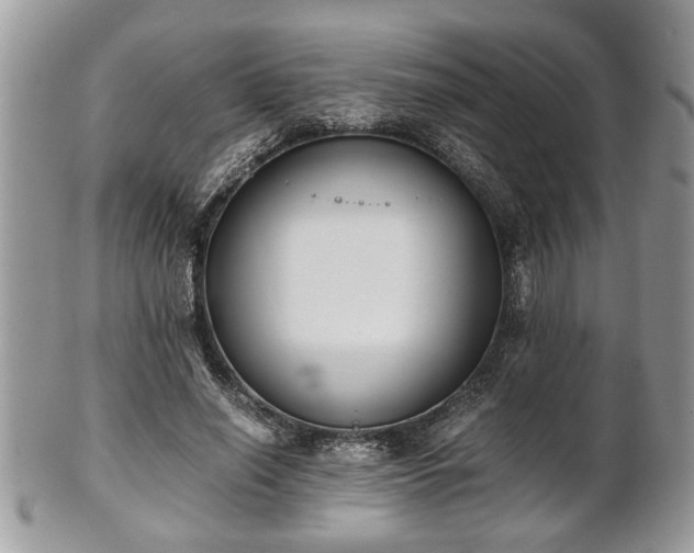 X0000102030638200807251352