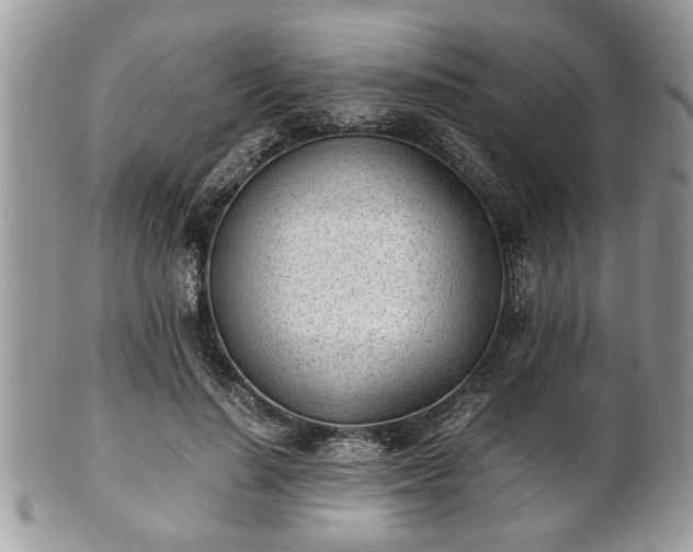 X0000102030644200807251352