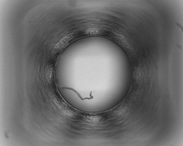 X0000102030645200807251352