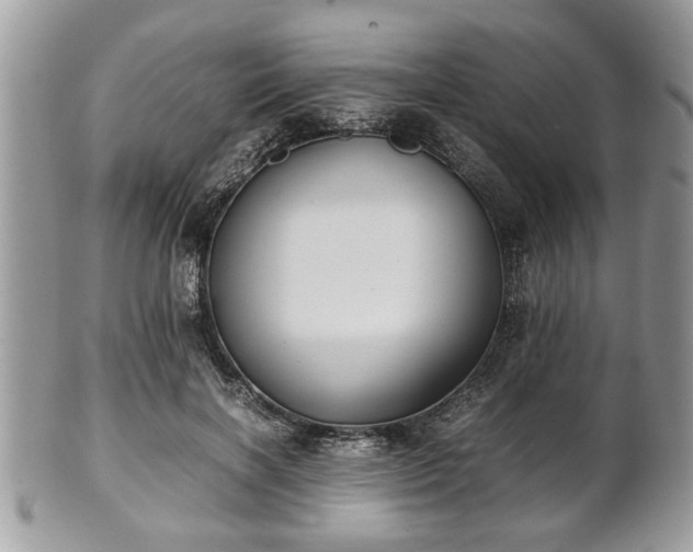 X0000102030646200807251352