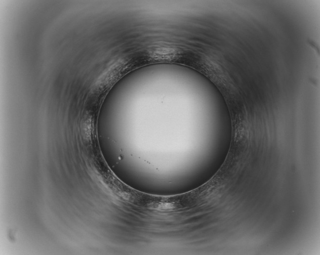 X0000102030647200807251352