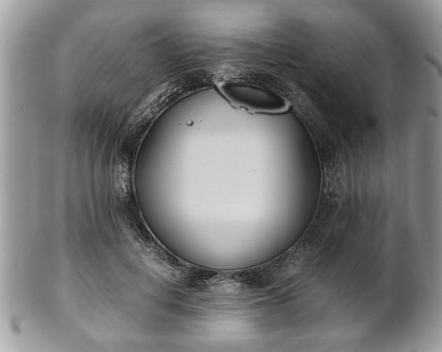 X0000102030648200807251352